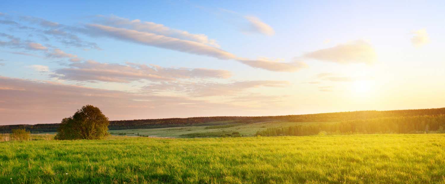 Saskatchewan Prairie Sunset